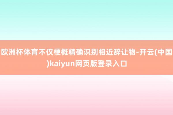 欧洲杯体育不仅梗概精确识别相近辞让物-开云(中国)kaiyun网页版登录入口