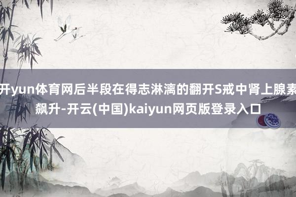 开yun体育网后半段在得志淋漓的翻开S戒中肾上腺素飙升-开云(中国)kaiyun网页版登录入口