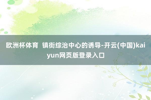 欧洲杯体育  镇街综治中心的诱导-开云(中国)kaiyun网页版登录入口