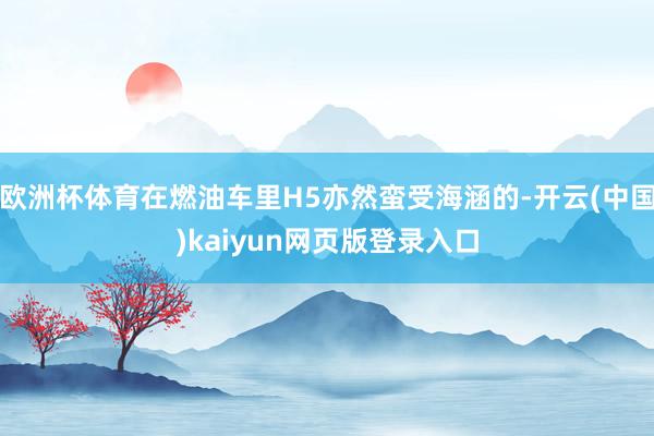 欧洲杯体育在燃油车里H5亦然蛮受海涵的-开云(中国)kaiyun网页版登录入口