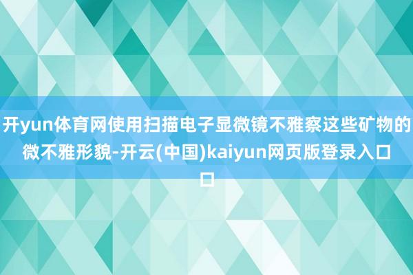 开yun体育网使用扫描电子显微镜不雅察这些矿物的微不雅形貌-开云(中国)kaiyun网页版登录入口