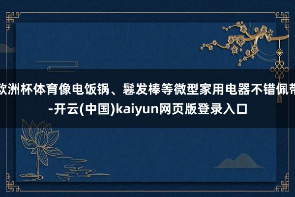 欧洲杯体育像电饭锅、鬈发棒等微型家用电器不错佩带-开云(中国)kaiyun网页版登录入口