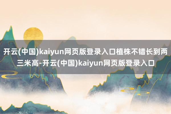 开云(中国)kaiyun网页版登录入口植株不错长到两三米高-开云(中国)kaiyun网页版登录入口